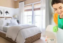 خادمات تنظيف منازل بالشارقة